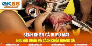 Bệnh khiến gà bị mù mắt nguyên nhân và cách chữa quãng gà thumb