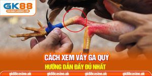 Cách xem vảy gà quý thumb