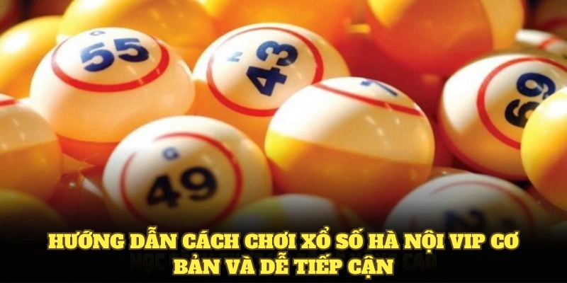 Hướng dẫn cách chơi xổ số Hà Nội Vip cơ bản và dễ tiếp cận