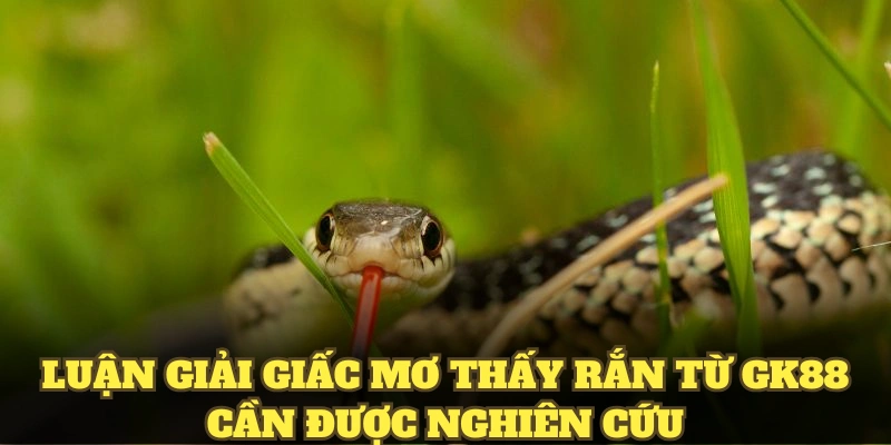 Luận giải giấc mơ thấy rắn từ GK88 cần được nghiên cứu