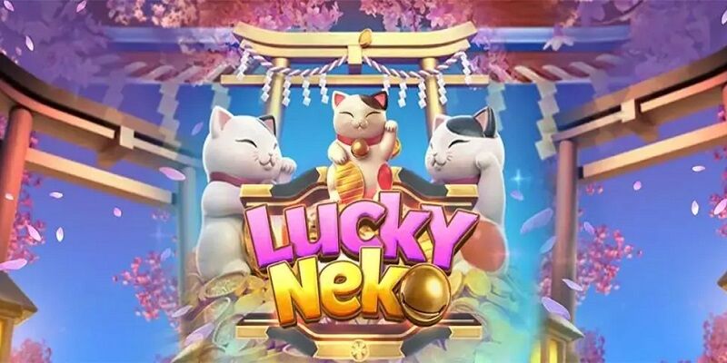 Neko may mắn càng trở nên thịnh hành hơn