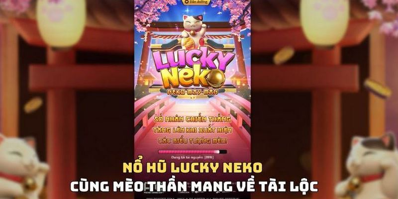 Neko may mắn mang đến nhiều niềm vui lớn