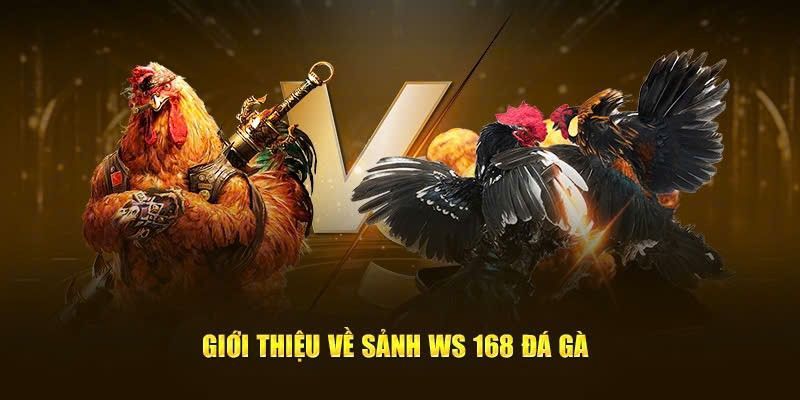 Thông tin cơ bản cần nắm về chọi kê WS168