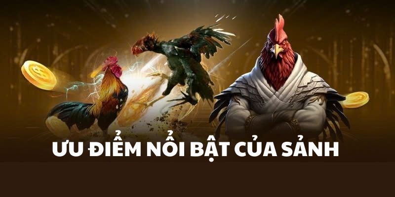 Những lợi ích nhận về khi trải nghiệm đá gà WS168