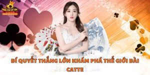 Bí Quyết Thắng Lớn - Khám Phá Thế Giới Bài Catte Avatar